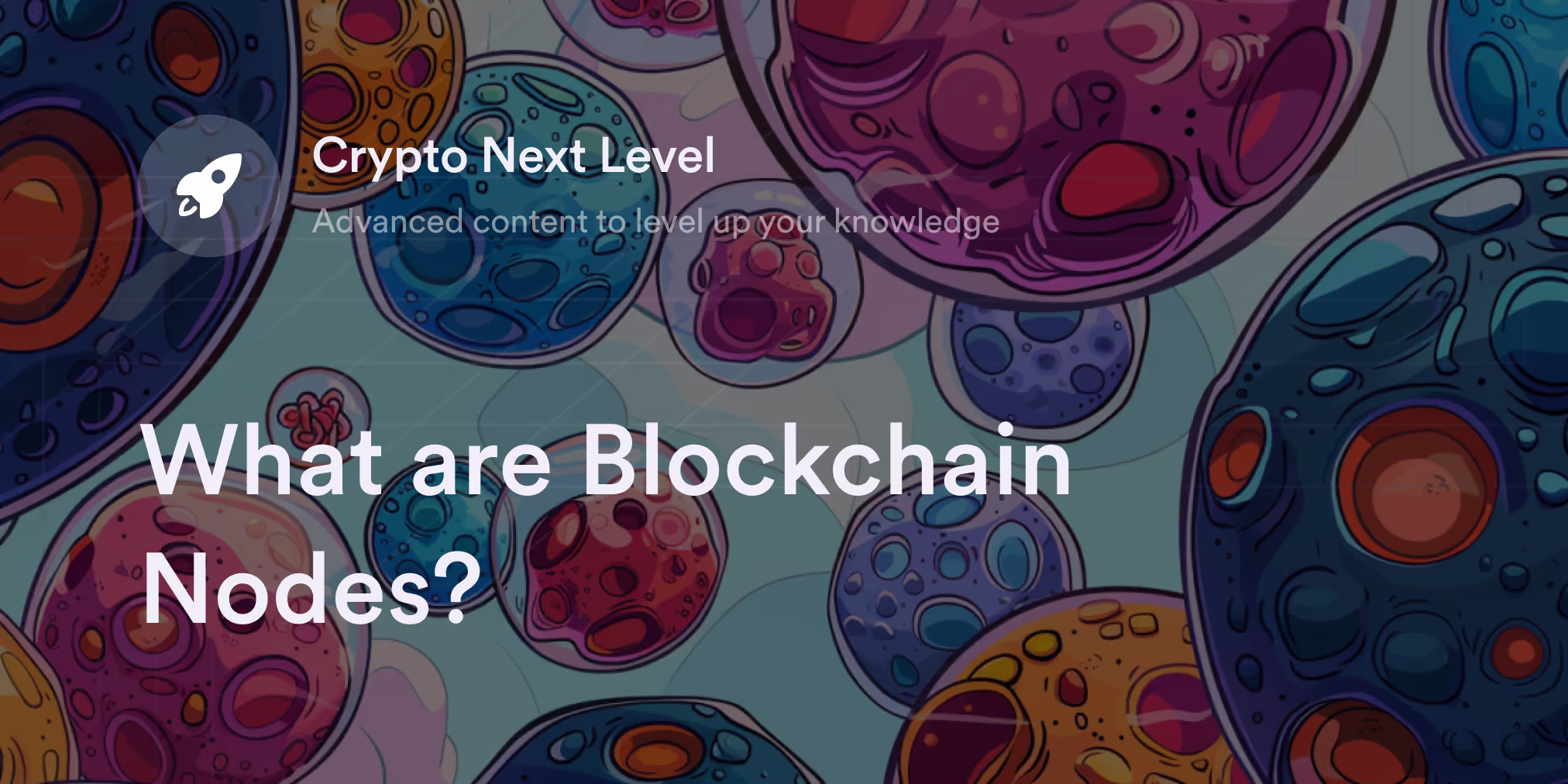 What are Blockchain Nodes?