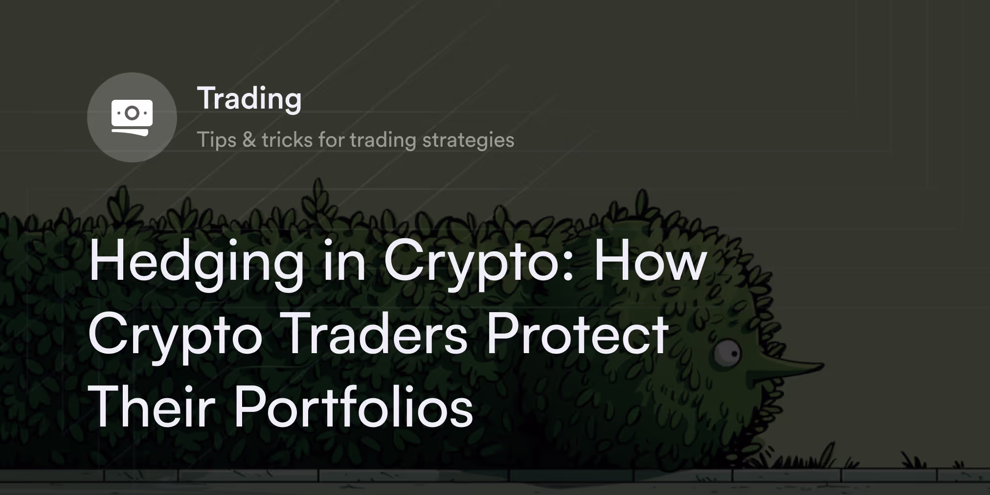 Hedging in Crypto: How Crypto Traders Protect Their Portfolios 